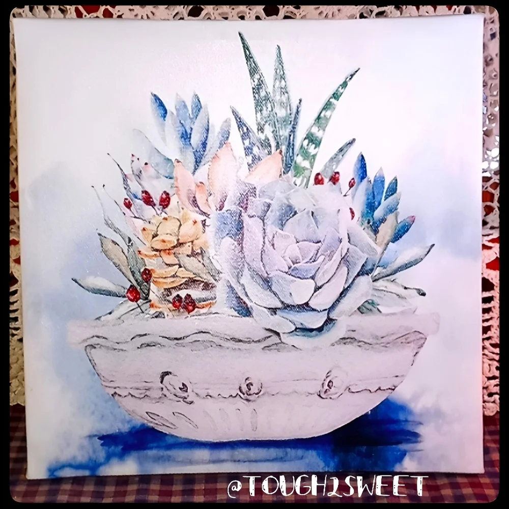 BEAUTIFUL WATERCOLOR OF A BOWL OF MIXED SUCCULANTS FRAMED ON CANVAS FRAME